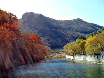 新澳天天开奖资料大全旅游团，水果袋